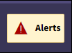 Patient Alert Icon, a red triangle with a white background